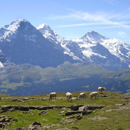 Beim See Grindelwald Exterior foto